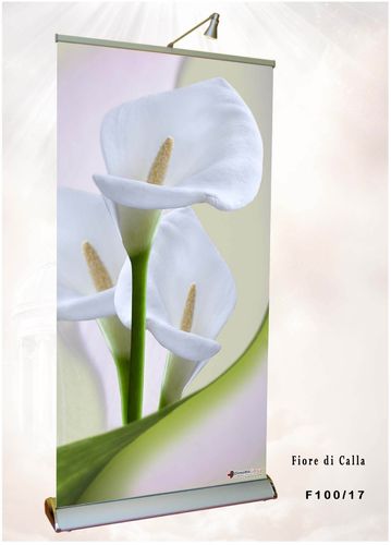 Calla fleur - Cod. F100/17